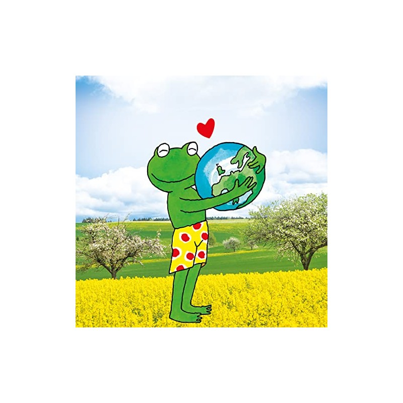 Frosch Raspberry Universal Cleaner 750 ml
