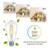 Homefy ST19 Vintage LED Light Bulb 6 Pack
