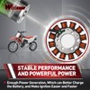 WOOSTAR 12 Coil 3 Wire Magneto Stator Replacement for 2013-2018