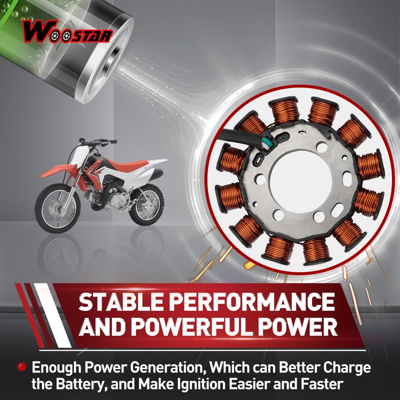 WOOSTAR 12 Coil 3 Wire Magneto Stator Replacement for 2013-2018