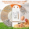 2Pack Chicken Grit and Oyster Shell Feeder, Poultry Feeder with