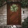 20 Inch Olive Wreath for Front Door, Spring Summer Wreath