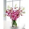 Fresh Cut Orchids - 30 stems Purple Dendrobium Orchids with