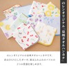 NOREN Japanese Cotton Towel Senshu (Osaka) Towel/Washcloth Face Towel Japanese