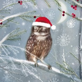 GBCC Charity Christmas Cards Pack of 6 - Charity Christmas Cards 2024 with a Sleeping Owl in Santa Hat Design - Eco-Friendly Xmas Cards Multipack with Envelopes