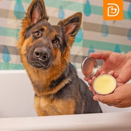 Dogtopia 3-in-1 Paw Balm & Deodorizer Spray - Between Baths Bundle for Pets | Moisturizing Balm for Cracked Skin (2oz) & Long-Lasting Piña Colada Odor Eliminator (8oz) for Dogs & Cats