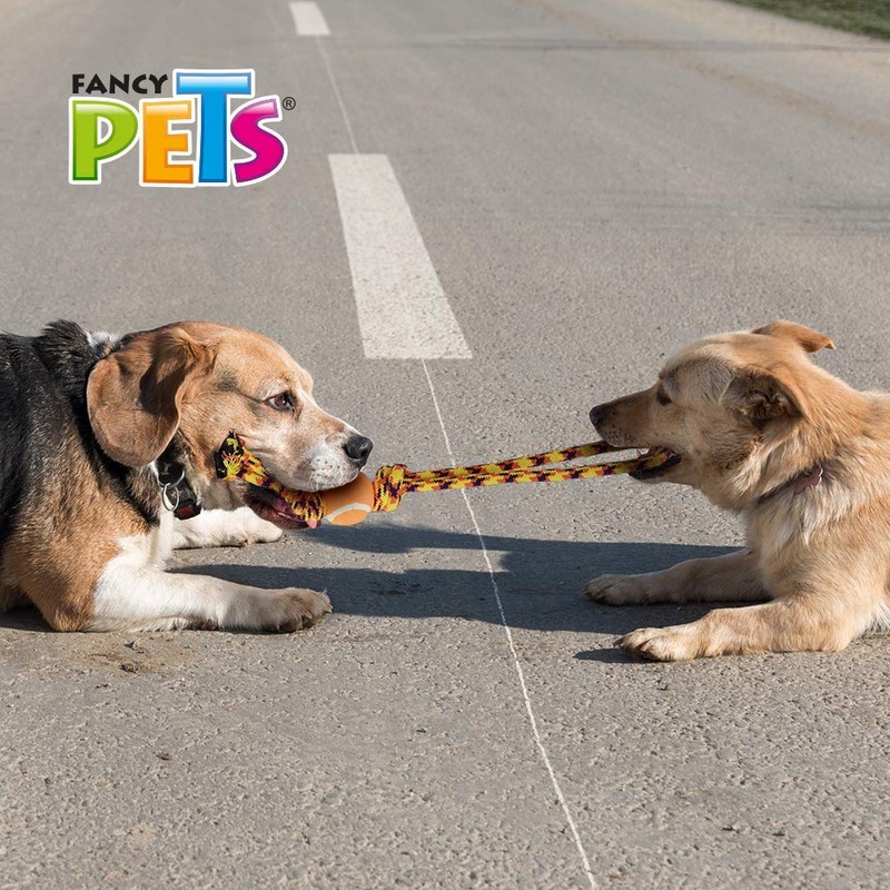 Fancy Pets Juguete de SOGA Tejida con Pelota de Tenis