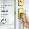 Floresita Front Door Lock Set, Gold Front Door Handle and
