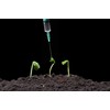 100pcs 1ml Plastic Syringes with caps for Scientific Labs Experiment