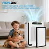 Netezza HAP607 HAP605 Replacement Filters Compatible with FreAire and XenonLab