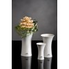 Sandra Rich Porzellanvase Tulip weiß konkav 22 cm hoch Ø