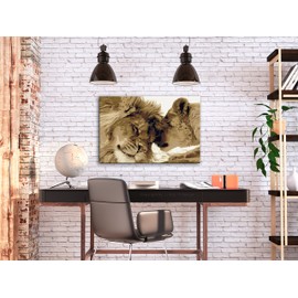 murando - Painting by Numbers Lion 60 x 40 cm Painting Set with Wooden Frame on Canvas for Adults Children Painting Hand Painted Kit DIY Gift Decoration n-A-0222-d-a