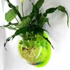 DSBAOMA Wall Mounted Fish Bowl Hanging Betta for Aquarium Wall