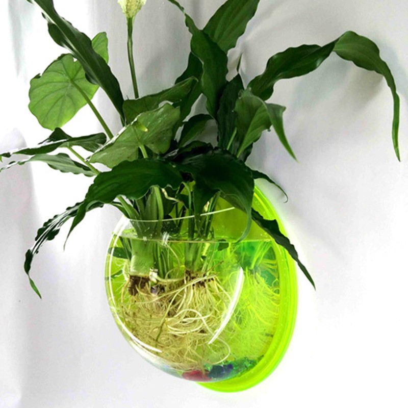 DSBAOMA Wall Mounted Fish Bowl Hanging Betta for Aquarium Wall
