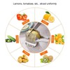 AIMALL Multifunctional Lemon Slicer with Handle – Stainless Steel Fruit
