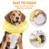 Recovery Collars & Cones (Large)