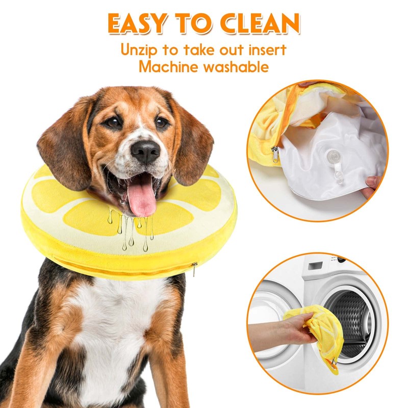 Recovery Collars & Cones (Large)