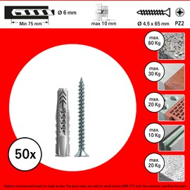 fischer 542455 Dowel with UX Screw, Gray, 6 x 50 mm, Set of 50 Pieces