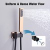 RTOBWEYE 12 Inch Ceiling Mount Shower System Matte Black Gold