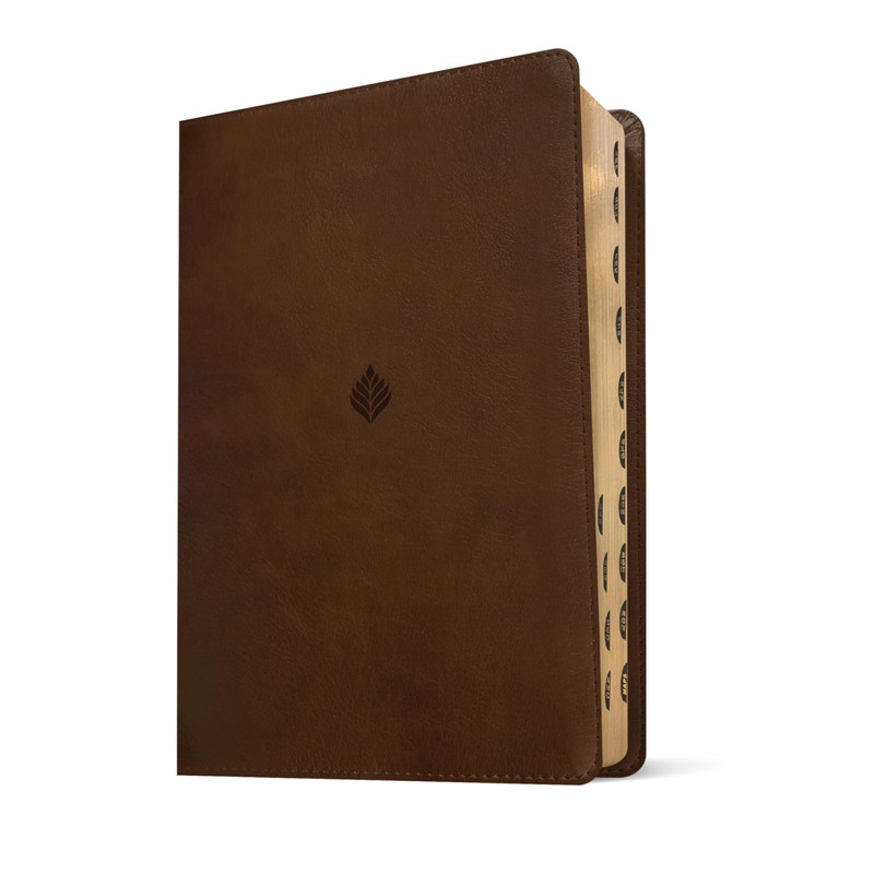 NLT Life Application Study Bible, Third Edition, Large Print (LeatherLike,