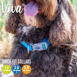 Ancol Viva Adjustable Collar Red, Size 1-2/Small ,A Fits neck 20-30 cm, Quick Fit, Lightweight, Weather Proof