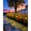 Albelt Solar Pathyway Lights Outdoor, 8 Pack Waterproof Solar Garden