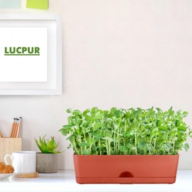 2-Pack Large Window Boxes Planters 16 Inch Rectangle Plant Box Rectangular Planters for Outdoor and Indoor Plants Plastic Windowsill Planter for Herbs Vegetable Flowers Long Window Sill Planters