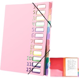 Delamiya Document Folder A4, Portable Expanding Folder with 12 Compartments, PP Plastic Organiser Folder with Elastic Band, Waterproof, for School Office Supplies