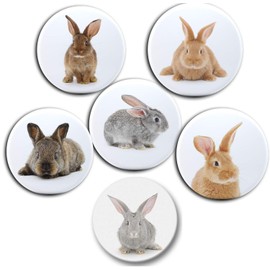 Merchandise for Fans 04 Large Fridge Magnets for Memo Board / Notice Board / Whiteboard / Pack of 6