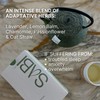 Calming Infusion for Sleep, Anxiety & Stress Relief, 20 teabags