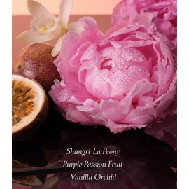 Victoria's Secret Bombshell Mini Fragrance Mist, Notes of Purple Passion Fruit, Shangri-La Peony & Vanilla Orchid, Travel Size Body Spray for Women (2.5 oz)