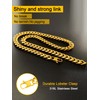 Oaldilee Mens Gold Cuban Chain Hip Hop Style Chains, 10MM