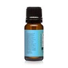 Spa - Premium Grade Fragrance Oils - 10ml - Scented