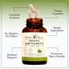 Herbal Roots Organic Saw Palmetto Capsules | 1,000mg per Serving