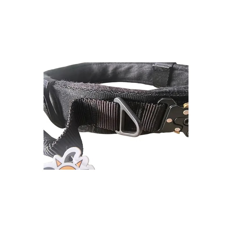 Collar Táctico Para Perro Con Parche De Datos Personalizado