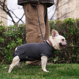 Dog Recovery Suit for Neutering & Spaying, E-Collar Alternative, Male & Female Dogs, Post-Surgery Wound Protection, Breathable Surgical Bodysuit, Easy to Wear, Extra 2 Wound Pads (Dark Gray, S)