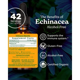 Herb Pharm Organic Echinacea Root Extract, Alcohol-Free: Immune System Support for All Seasons, Fast-Acting Echinacea Plant Supplement, Non-GMO, Vegan & Gluten-Free, 1 Oz