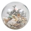 Nautical Marine Sea Shells Glass Globe Ball On Silver Coral