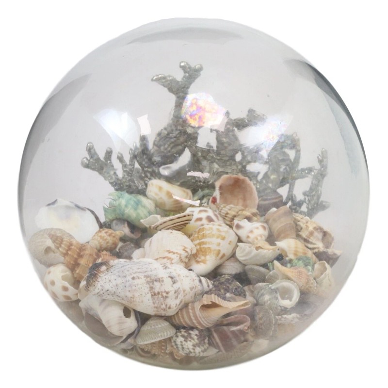 Nautical Marine Sea Shells Glass Globe Ball On Silver Coral