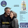 J.ARMOR Detox 10 Ingredients with Silymarin, Vegan, 120 Capsules