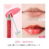 Kakehiki Lip Plumper B [New] 201 BOTAN Red 0.2 fl