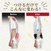 commoc Pelvic Belt, Lumbar Support, Waist Support, Distortion, Waist Belt,