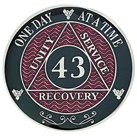 Simply Minimal AA 43 Year Recovery Silver Color Plated Medallions Alcoholics Anonymous Coins