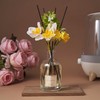 COCORRÍNA Reed Diffuser - Clean Linen 8.5 Fl.oz/ 250ml Flower
