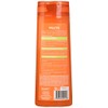 Garnier Fructis Shampoo 360ml