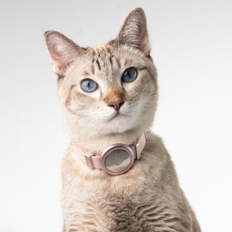 BuddyArmor Safety Cat Collar Pro Airtag Holder Set, US IDA