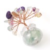 Feng Shui Quartz Crystal Money Tree Seven Chakra Tree of