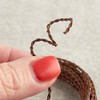 6 Twisted Rusted 16 Gauge Crafting Wire for Floral Arranging,