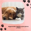 Trihepatic Labyes 100ml, Protector Hepático Perro Y Gato 4pz
