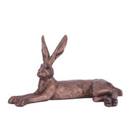 Harvey Hare - by Paul Jenkins